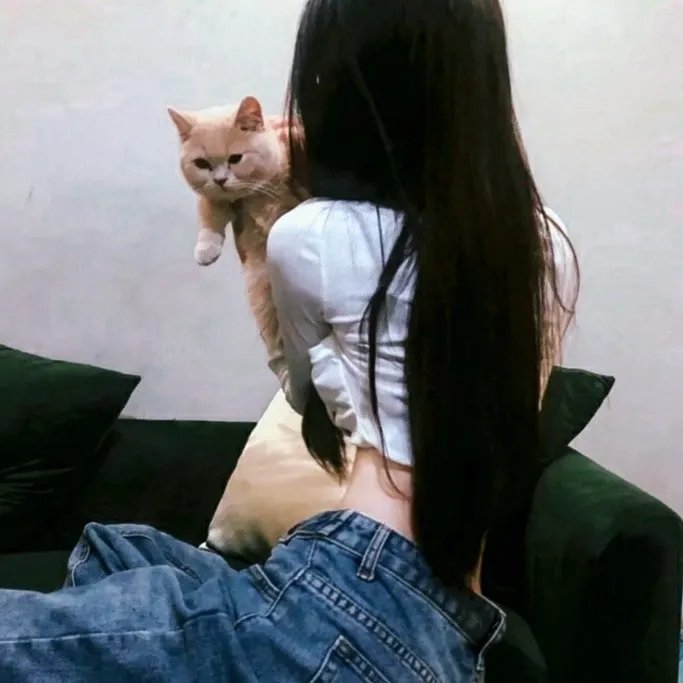 阴阳路12:美容尸